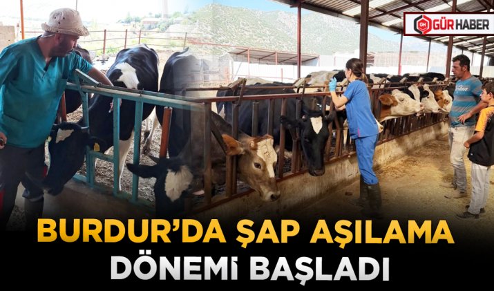  BURDUR’DA  ŞAP AŞILAMA DÖNEMİ BAŞLADI