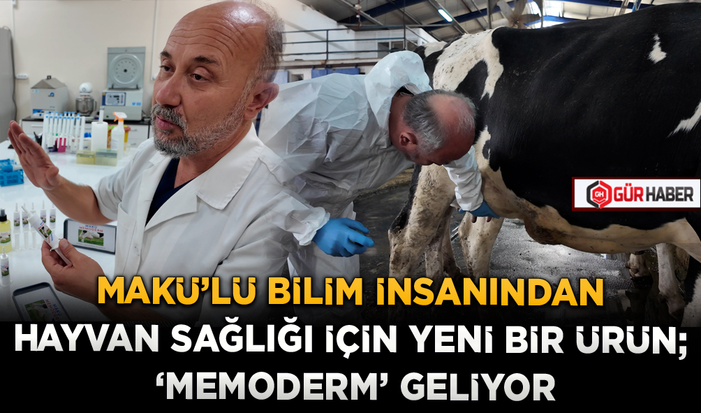 MAKÜ'LÜ BİLİM İNSANINDAN HAYVAN SAĞLIĞI İÇİN YENİ BİR ÜRÜN; 'MEMODERM' GELİYOR