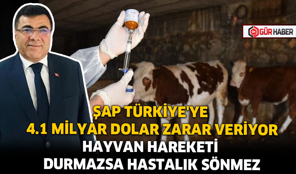 ŞAP TÜRKİYE'YE 4.1 MİLYAR DOLAR ZARAR VERİYOR HAYVAN HAREKETİ DURMAZSA HASTALIK SÖNMEZ