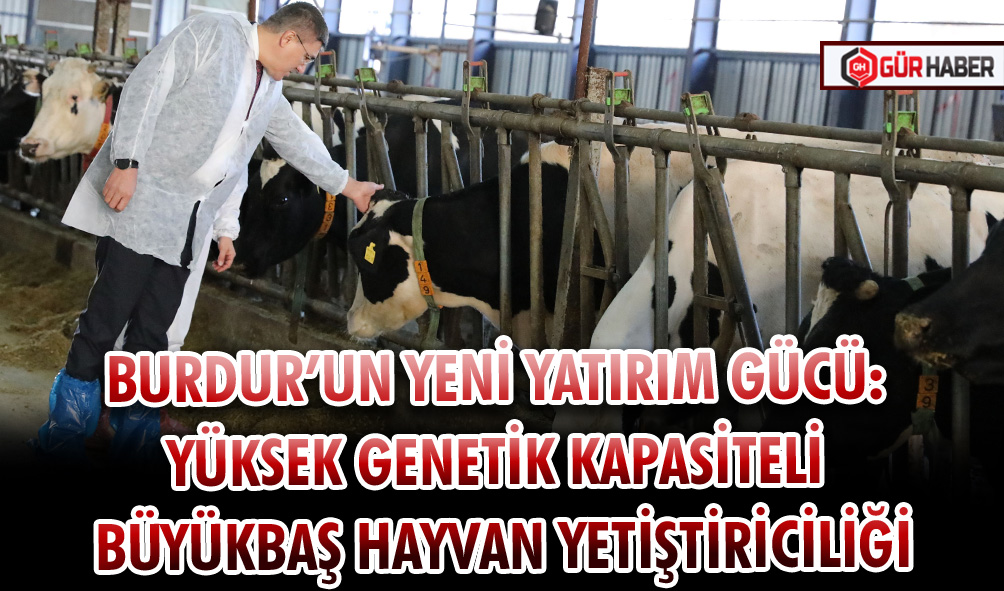BURDUR’UN YENİ YATIRIM GÜCÜ: YÜKSEK GENETİK KAPASİTELİ BÜYÜKBAŞ HAYVAN YETİŞTİRİCİLİĞİ