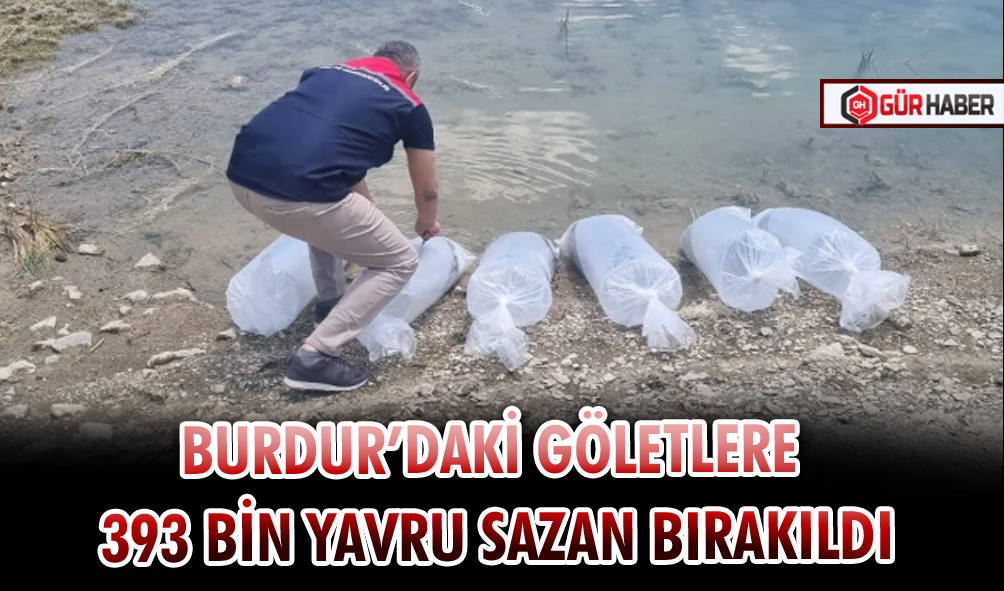 BURDUR’DAKİ GÖLETLERE 393 BİN YAVRU SAZAN BIRAKILDI