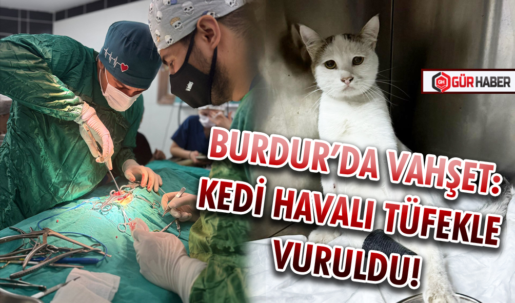 BURDUR’DA VAHŞET: KEDİ HAVALI TÜFEKLE VURULDU!