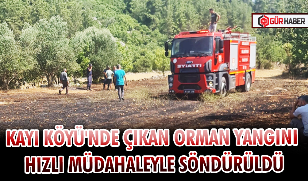 KAYI KÖYÜ'NDE ÇIKAN ORMAN YANGINI HIZLI MÜDAHALEYLE SÖNDÜRÜLDÜ