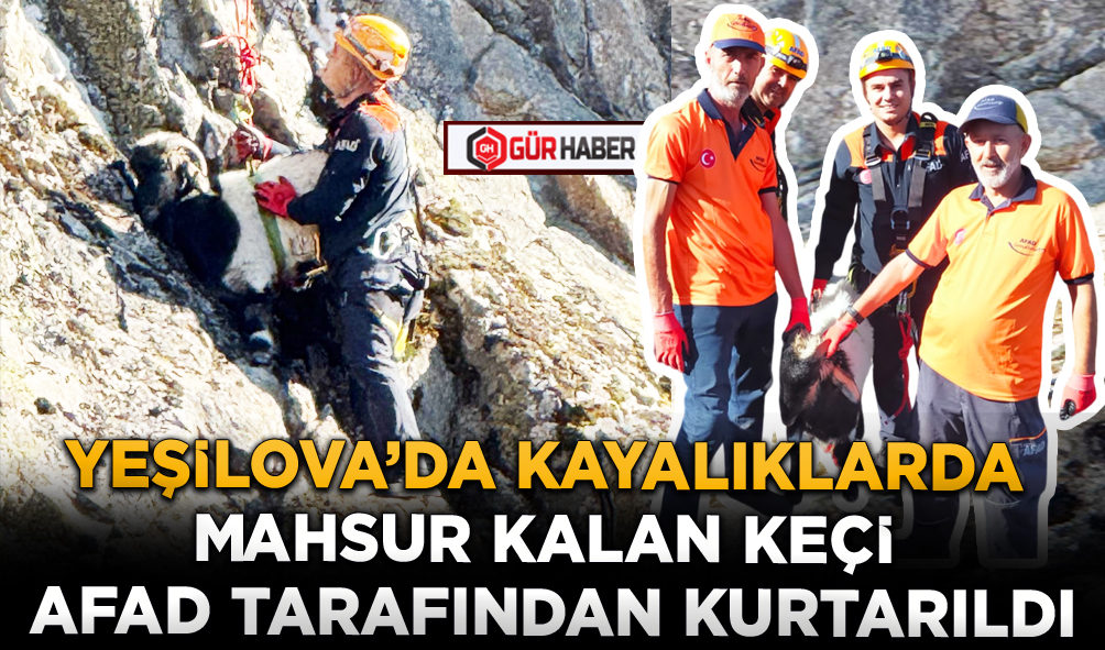 YEŞİLOVA’DA KAYALIKLARDA MAHSUR KALAN KEÇİ AFAD TARAFINDAN KURTARILDI