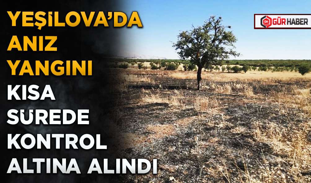 YEŞİLOVA’DA ANIZ YANGINI KISA SÜREDE KONTROL ALTINA ALINDI
