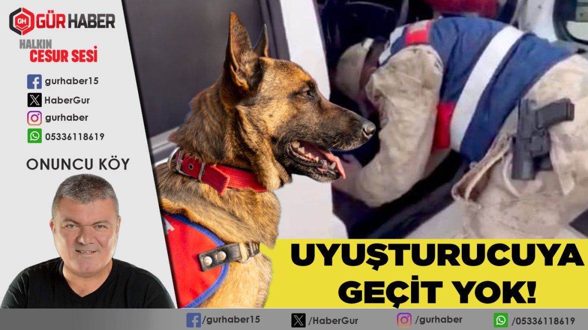 Bucak'ta Uyuşturucuya Darbe: Jandarma Sahada, Tacirler Kıskaca Alındı