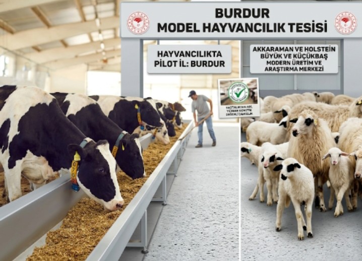 HAYVANCILIK ALANINDA KORUYUCU HEKİMLİK MODELİ. BURDUR PİLOT İL