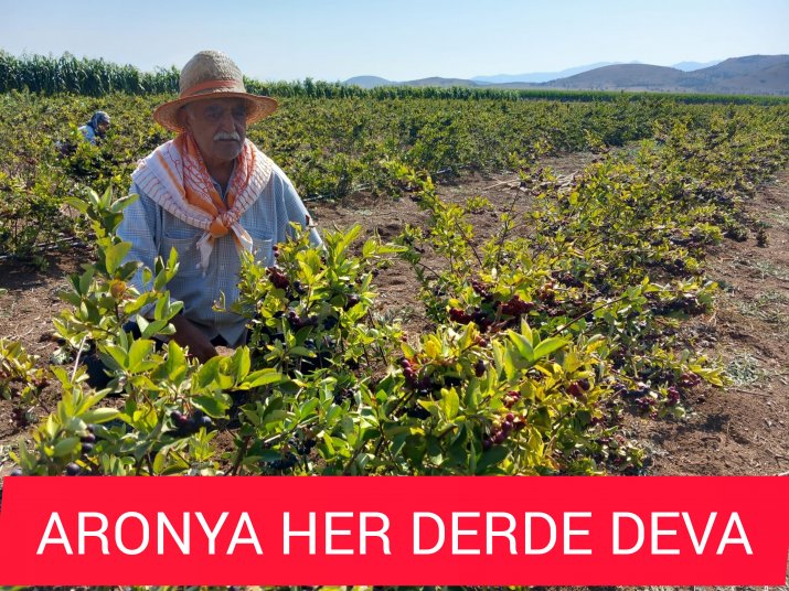 ARONYA HER DERDE DEVA