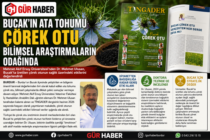 BUCAK'TA ÜRETİLEN ÇÖREKOTU BİLİMSEL MAKALELERDE YERİNİ ALDI