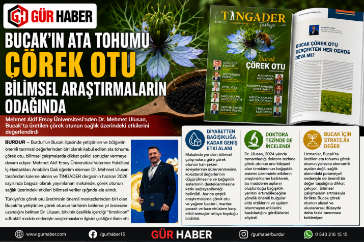 BUCAK'TA ÜRETİLEN ÇÖREKOTU BİLİMSEL MAKALELERDE YERİNİ ALDI