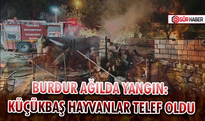 BURDUR AĞILDA YANGIN: KÜÇÜKBAŞ HAYVANLAR TELEF OLDU