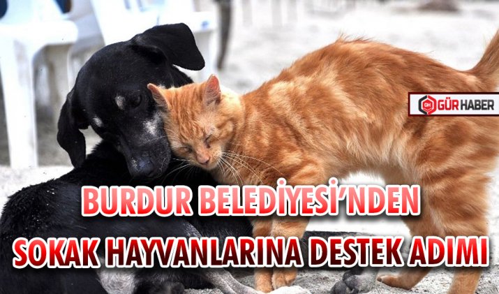 BURDUR BELEDİYESİ’NDEN SOKAK HAYVANLARINA DESTEK ADIMI