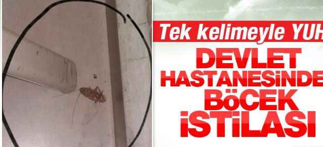 BURDUR DEVLET HASTANESİNİ BÖCEKLER İSTİLA ETTİ 