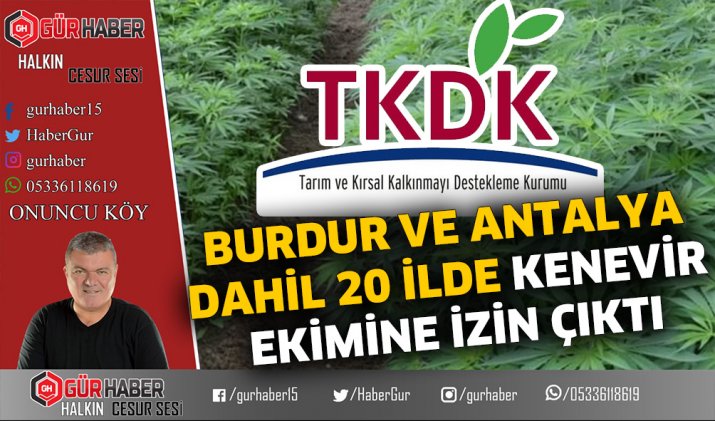 BURDUR VE ANTALYA DAHİL 20 İLDE KENEVİR EKİMİNE İZİN ÇIKTI