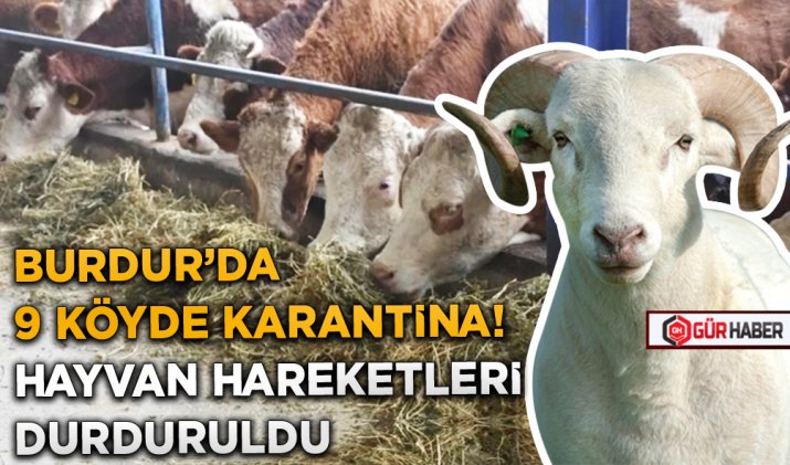 BURDUR’DA 9 KÖYDE KARANTİNA! HAYVAN HAREKETLERİ DURDURULDU