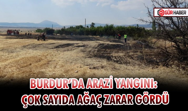 BURDUR’DA ARAZİ YANGINI: ÇOK SAYIDA AĞAÇ ZARAR GÖRDÜ