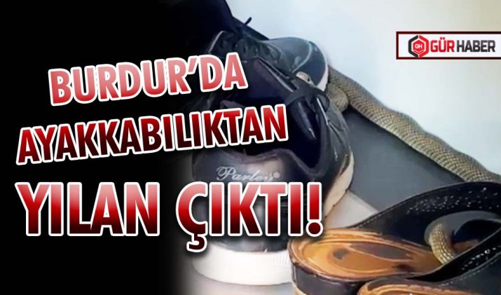 BURDUR’DA AYAKKABILIKTAN YILAN ÇIKTI!