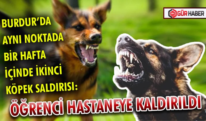 BURDUR’DA AYNI NOKTADA BİR HAFTA İÇİNDE İKİNCİ KÖPEK SALDIRISI: ÖĞRENCİ HASTANEYE KALDIRILDI