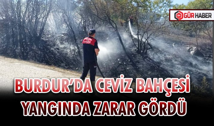 BURDUR’DA CEVİZ BAHÇESİ YANGINDA ZARAR GÖRDÜ