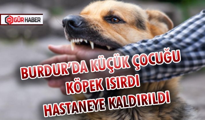 BURDUR’DA KÜÇÜK ÇOCUĞU KÖPEK ISIRDI: HASTANEYE KALDIRILDI