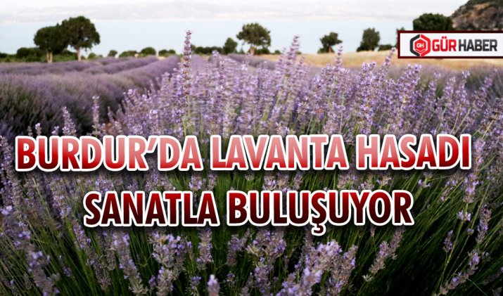 BURDUR’DA LAVANTA HASADI SANATLA BULUŞUYOR