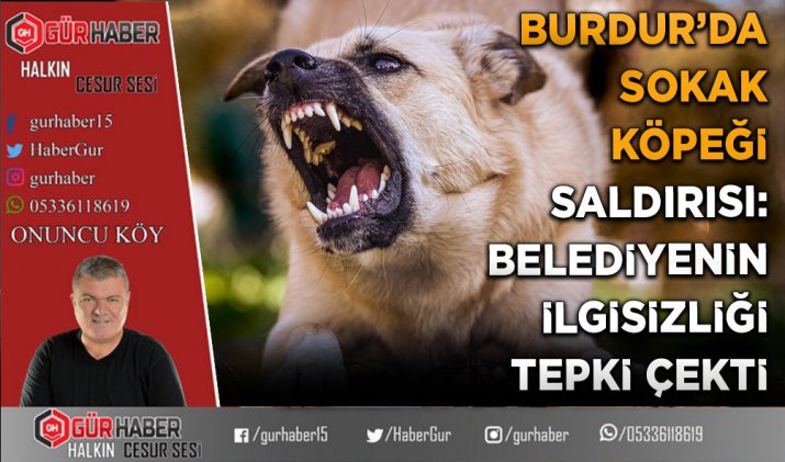BURDUR’DA SOKAK KÖPEĞİ SALDIRISI: BELEDİYENİN İLGİSİZLİĞİ TEPKİ ÇEKTİ