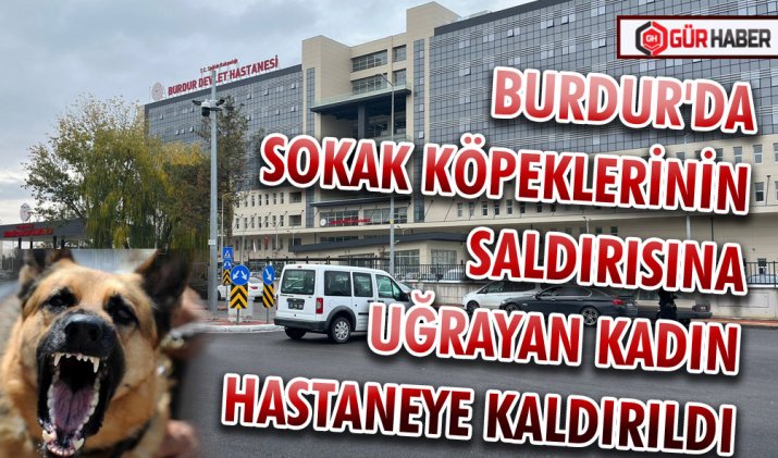 BURDUR'DA SOKAK KÖPEKLERİNİN SALDIRISINA UĞRAYAN KADIN HASTANEYE KALDIRILDI