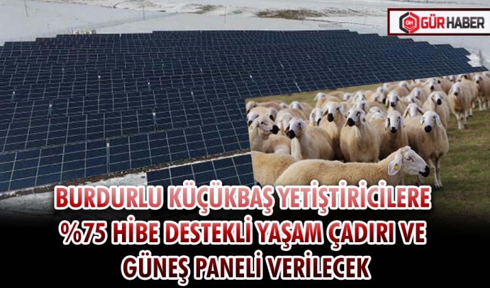 BURDURLU KÜÇÜKBAŞ YETİŞTİRİCİLERE %75 HİBE DESTEKLİ YAŞAM ÇADIRI VE GÜNEŞ PANELİ VERİLECEK