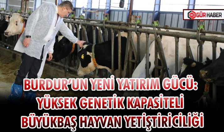 BURDUR’UN YENİ YATIRIM GÜCÜ: YÜKSEK GENETİK KAPASİTELİ BÜYÜKBAŞ HAYVAN YETİŞTİRİCİLİĞİ