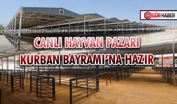 CANLI HAYVAN PAZARI KURBAN BAYRAMI’NA HAZIR