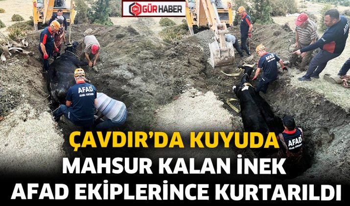 ÇAVDIR’DA KUYUDA MAHSUR KALAN İNEK AFAD EKİPLERİNCE KURTARILDI