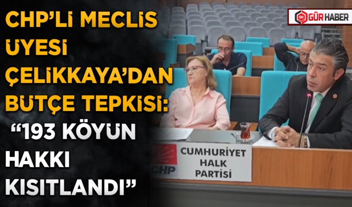 CHP’Lİ MECLİS ÜYESİ ÇELİKKAYA’DAN BÜTÇE TEPKİSİ: 