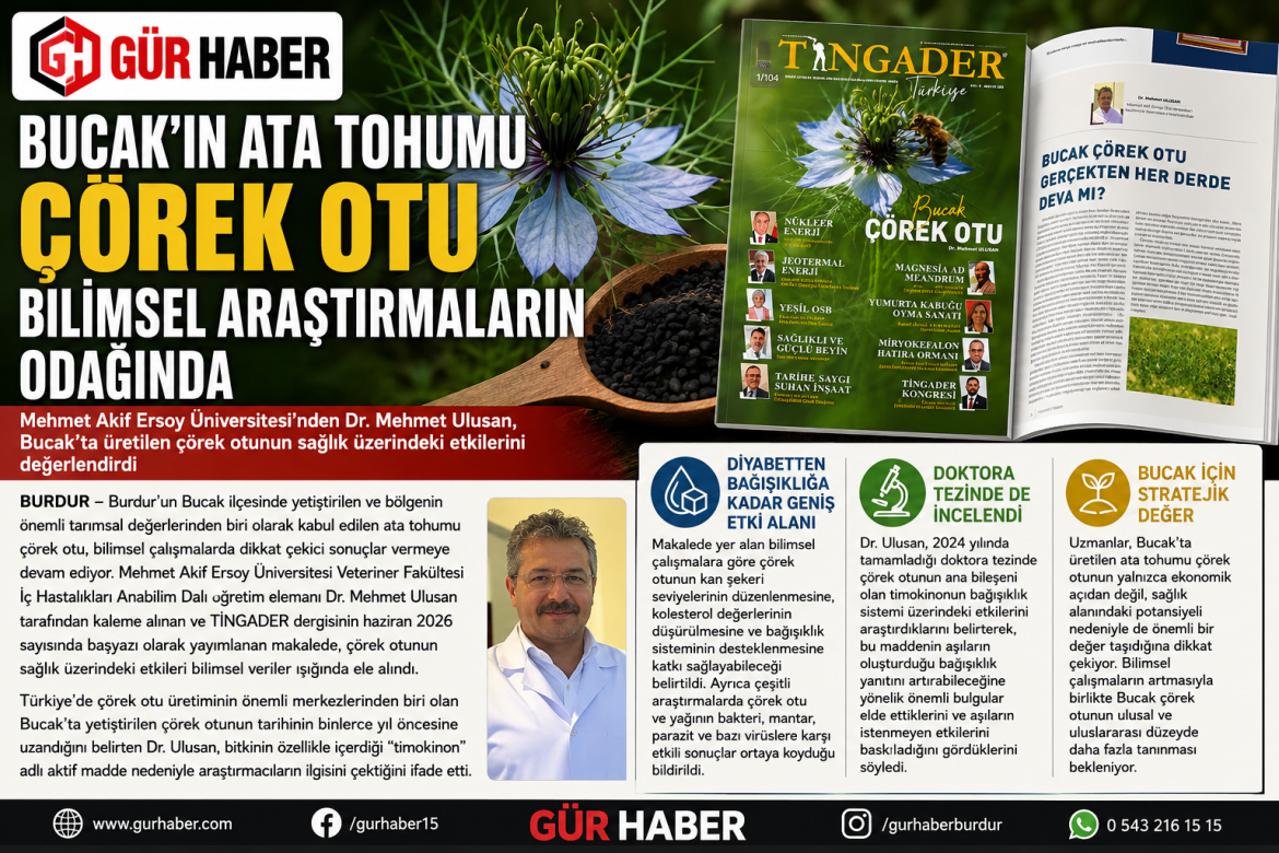 BUCAK'TA ÜRETİLEN ÇÖREKOTU BİLİMSEL MAKALELERDE YERİNİ ALDI