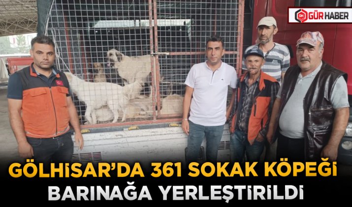 GÖLHİSAR’DA 361 SOKAK KÖPEĞİ BARINAĞA YERLEŞTİRİLDİ