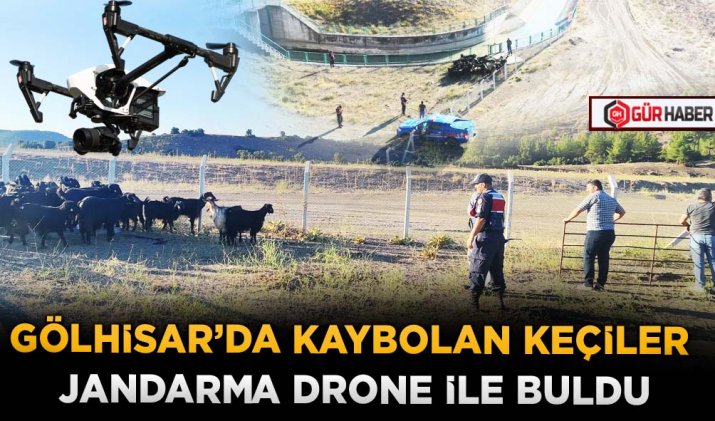 GÖLHİSAR’DA KAYBOLAN KEÇİLER JANDARMA DRONE İLE BULDU