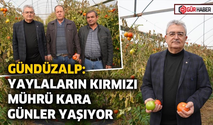 GÜNDÜZALP: YAYLALARIN KIRMIZI MÜHRÜ KARA GÜNLER YAŞIYOR