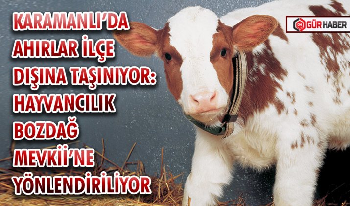 KARAMANLI’DA AHIRLAR İLÇE DIŞINA TAŞINIYOR: HAYVANCILIK BOZDAĞ MEVKİİ’NE YÖNLENDİRİLİYOR