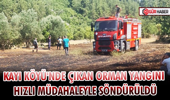KAYI KÖYÜ'NDE ÇIKAN ORMAN YANGINI HIZLI MÜDAHALEYLE SÖNDÜRÜLDÜ