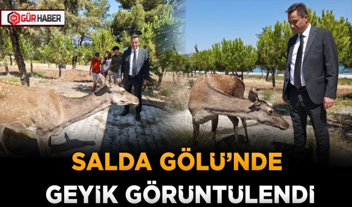 SALDA GÖLÜ’NDE GEYİK GÖRÜNTÜLENDİ
