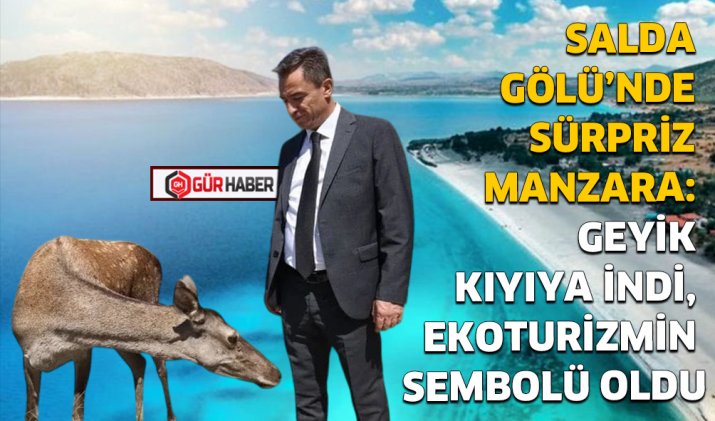 SALDA GÖLÜ’NDE SÜRPRİZ MANZARA: GEYİK KIYIYA İNDİ, EKOTURİZMİN SEMBOLÜ OLDU