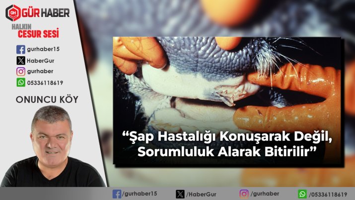 Şap Hastalığı Konuşarak Değil, Sorumluluk Alarak Bitirilir