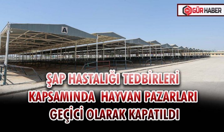 ŞAP HASTALIĞI TEDBİRLERİ KAPSAMINDA HAYVAN PAZARLARI GEÇİCİ OLARAK KAPATILDI