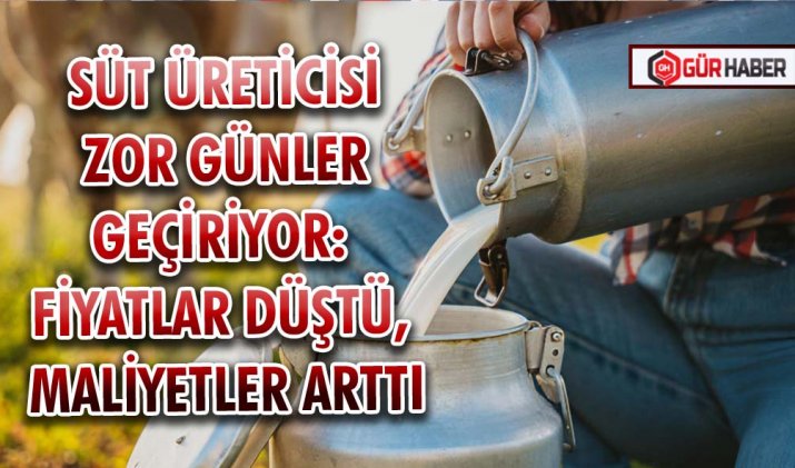 SÜT ÜRETİCİSİ ZOR GÜNLER GEÇİRİYOR: FİYATLAR DÜŞTÜ, MALİYETLER ARTTI