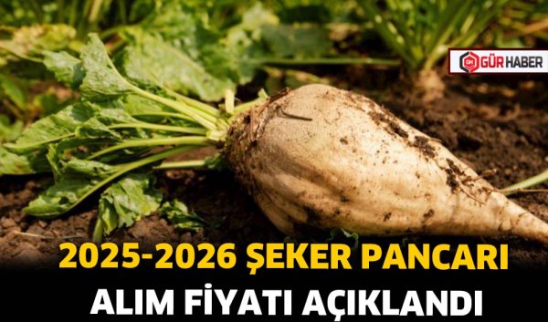 2025-2026 ŞEKER PANCARI ALIM FİYATI AÇIKLANDI