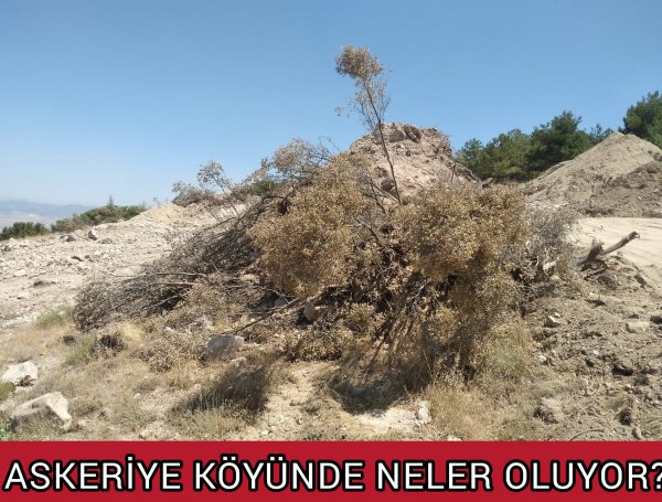 ASKERİYE KÖYÜNDE NELER OLUYOR?