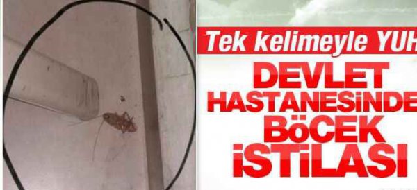 BURDUR DEVLET HASTANESİNİ BÖCEKLER İSTİLA ETTİ 