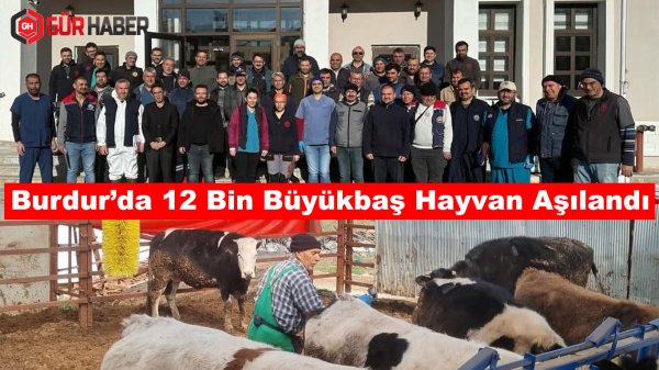 Burdur'da 12 Bin Büyükbaş Hayvan Aşılandı