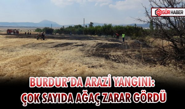 BURDUR’DA ARAZİ YANGINI: ÇOK SAYIDA AĞAÇ ZARAR GÖRDÜ