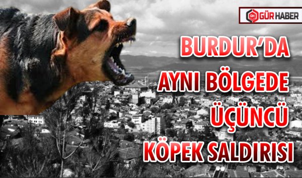 BURDUR’DA AYNI BÖLGEDE ÜÇÜNCÜ KÖPEK SALDIRISI