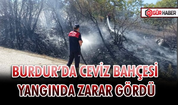 BURDUR’DA CEVİZ BAHÇESİ YANGINDA ZARAR GÖRDÜ